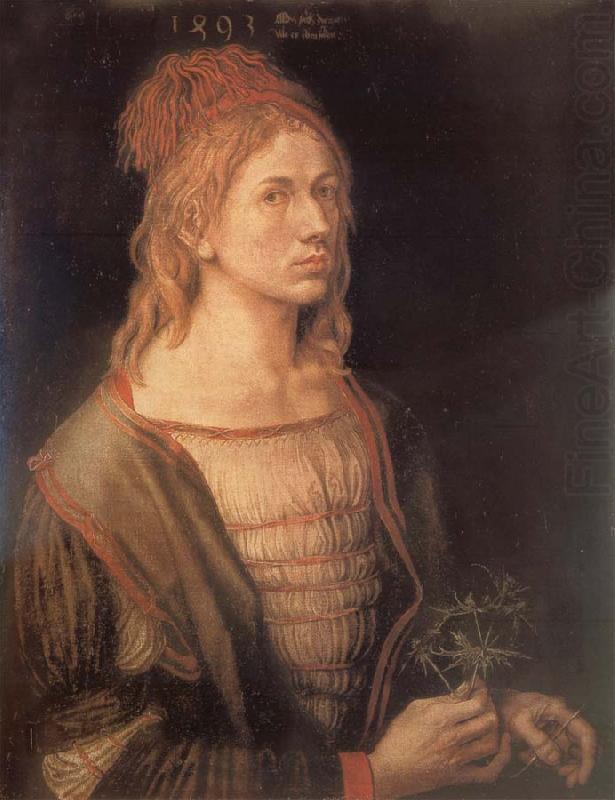 Self-Portrait with sea holly, Albrecht Durer